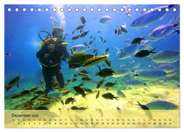 Produktbild: Erlebnis Tauchen - faszinierende Unterwasserwelt (Tischkalender 2026 DIN A5 quer), CALVENDO Monatskalender