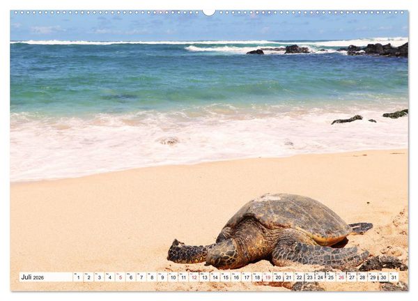 Produktbild: Hawaii the Aloha State (hochwertiger Premium Wandkalender 2026 DIN A2 quer), Kunstdruck in Hochglanz