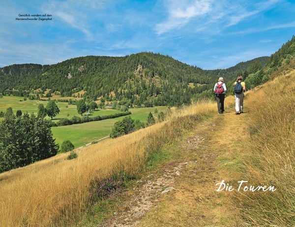 Produktbild: Premiumwanderwege Schwarzwald