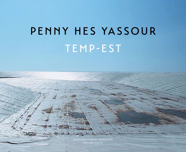 Produktbild: Penny Hes Yassour &ndash; Temp-Est