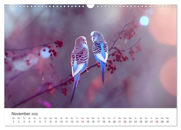 Produktbild: Zwitscherzeit - Ein Kalender voller Wellensittiche (Wandkalender 2026 DIN A3 quer), CALVENDO Monatskalender