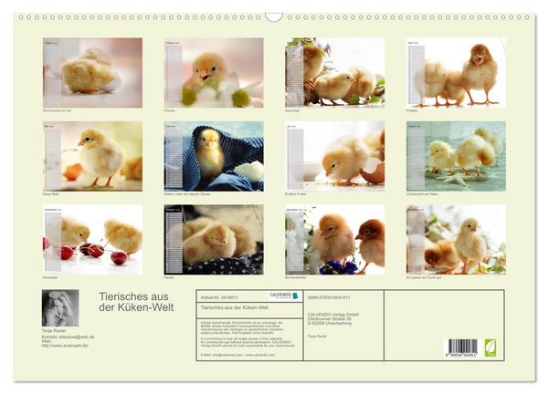 Produktbild: Tierisches aus der K&uuml;ken-Welt (Wandkalender 2026 DIN A2 quer), CALVENDO Monatskalender