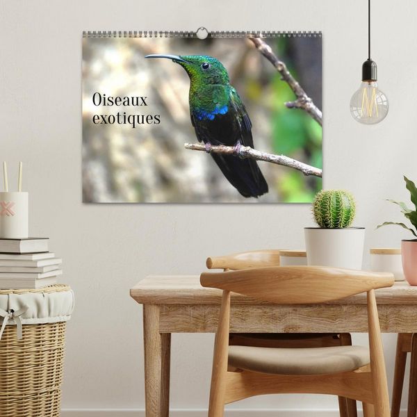 Produktbild: Oiseaux exotiques (Calendrier mural 2026 DIN A3 vertical), CALVENDO calendrier mensuel