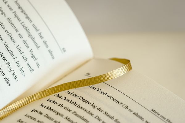 Produktbild: Ein Vogel wollte Hochzeit machen