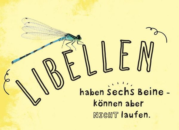 Produktbild: Fun Facts I Unn&uuml;tzes Wissen f&uuml;r Kids ab 8 Jahren