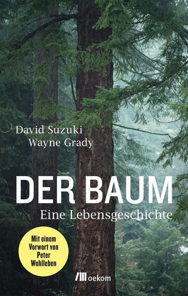 Produktbild: Der Baum