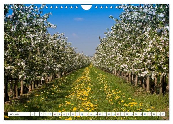 Produktbild: Das Alte Land und die Elbe. Auf dem Weg zur Flussm&uuml;ndung (Wandkalender 2027 DIN A4 quer), CALVENDO Monatskalender
