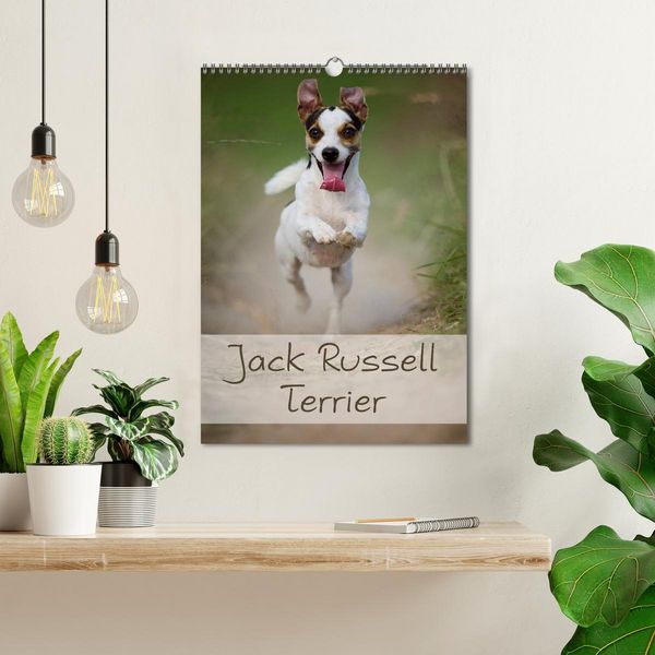 Produktbild: Jack Russell Terrier (Wandkalender 2026 DIN A3 hoch), CALVENDO Monatskalender