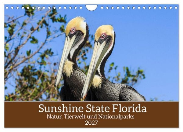 Produktbild: Sunshine State Florida Natur, Tierwelt und Nationalparks (Wandkalender 2027 DIN A4 quer), CALVENDO Monatskalender