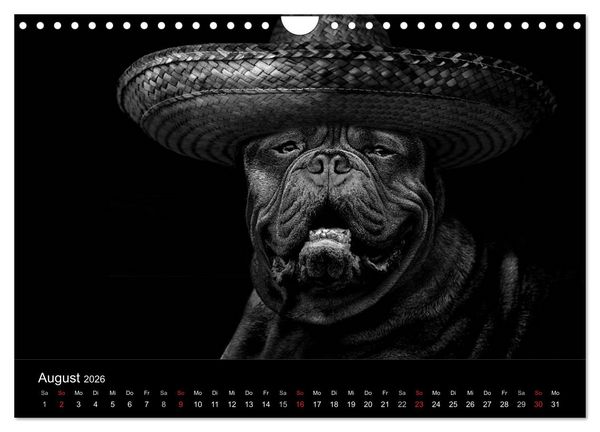 Produktbild: H&uuml;tehunde (Wandkalender 2026 DIN A4 quer), CALVENDO Monatskalender