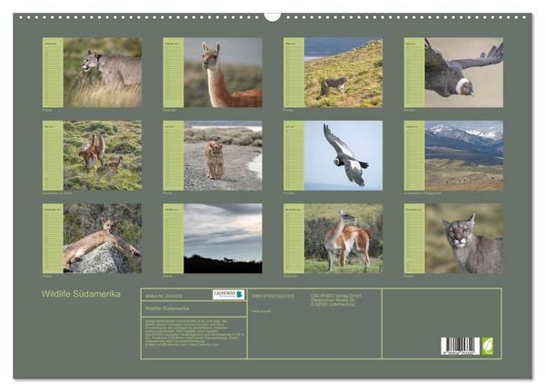 Produktbild: Wildlife S&uuml;damerika (Wandkalender 2026 DIN A2 quer), CALVENDO Monatskalender