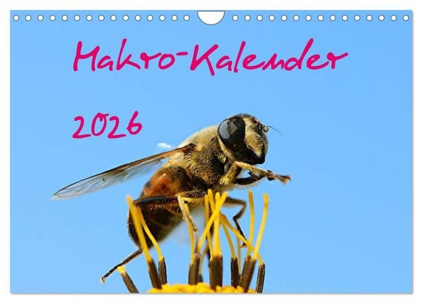 Makro-Kalender 2026 (Wandkalender 2026 DIN A4 quer), CALVENDO Monatskalender