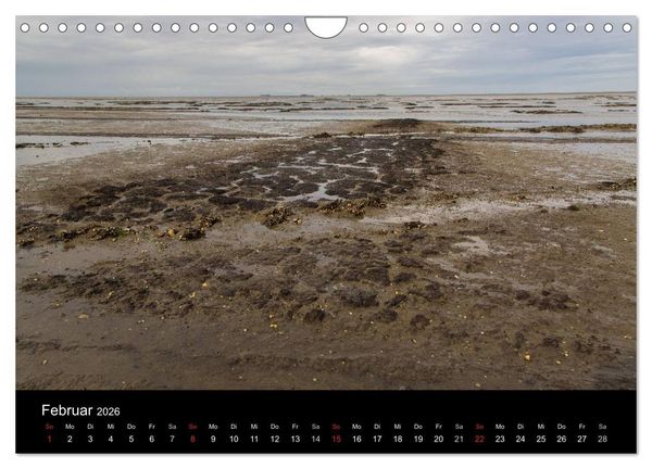 Produktbild: Pellworm 2026 (Wandkalender 2026 DIN A4 quer), CALVENDO Monatskalender