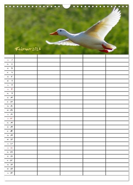 Produktbild: Bauernhoftiere Familienplaner (Wandkalender 2026 DIN A3 hoch), CALVENDO Monatskalender