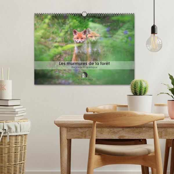 Produktbild: Les murmures de la for&ecirc;t - Regards d'animaux (Calendrier mural 2026 DIN A3 vertical), CALVENDO calendrier mensuel
