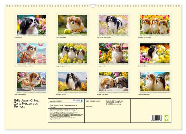 Produktbild: Edle Japan Chins. Zarte Herzen aus Fernost (Wandkalender 2026 DIN A2 quer), CALVENDO Monatskalender