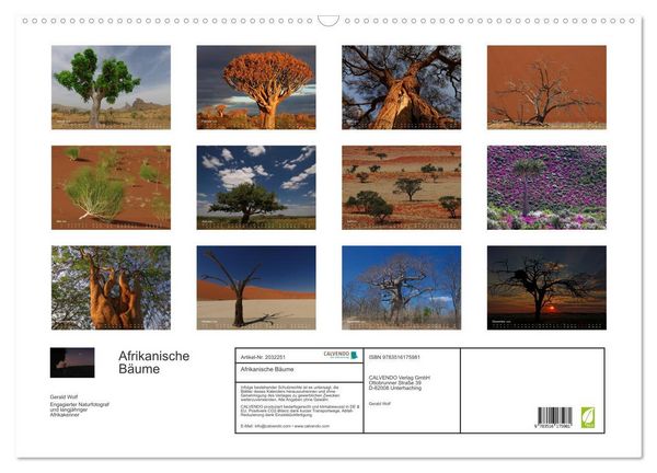 Produktbild: Afrikanische B&auml;ume (Wandkalender 2026 DIN A2 quer), CALVENDO Monatskalender