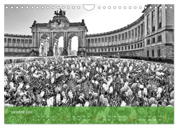 Produktbild: Bruxelles en confinement (Calendrier mural 2026 DIN A4 vertical), CALVENDO calendrier mensuel