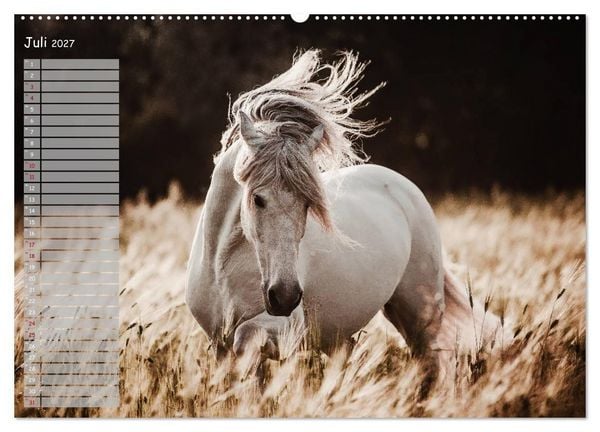 Produktbild: Pferde - Spiegel deiner Seele (Wandkalender 2027 DIN A2 quer), CALVENDO Monatskalender