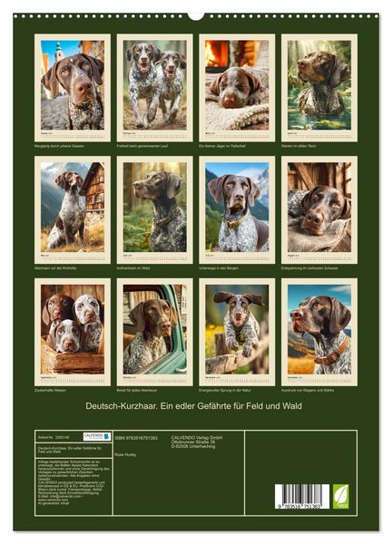 Produktbild: Deutsch-Kurzhaar. Ein edler Gef&auml;hrte f&uuml;r Feld und Wald (hochwertiger Premium Wandkalender 2027 DIN A2 hoch), Kunstdruck in Hochglanz