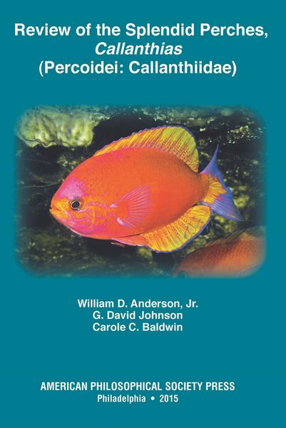 Produktbild: Review of the Splendid Perches, Callanthias (Percoidei: Callanthiidae)
