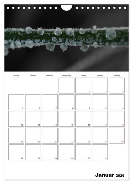 Produktbild: schwarz/wei&szlig; trifft farbe - DEIN TERMINKALENDER / Planer (Wandkalender 2026 DIN A4 hoch), CALVENDO Monatskalender