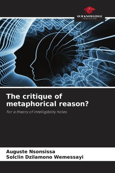 Produktbild: The critique of metaphorical reason?