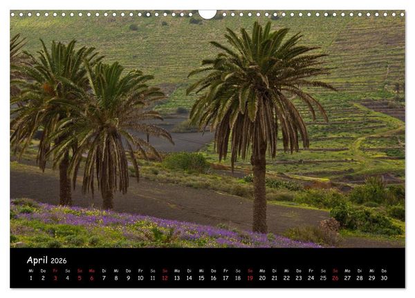 Produktbild: Lanzarote - Insel der Vulkane (Wandkalender 2026 DIN A3 quer), CALVENDO Monatskalender
