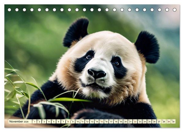 Produktbild: Gro&szlig;er Pandab&auml;r (Tischkalender 2026 DIN A5 quer), CALVENDO Monatskalender