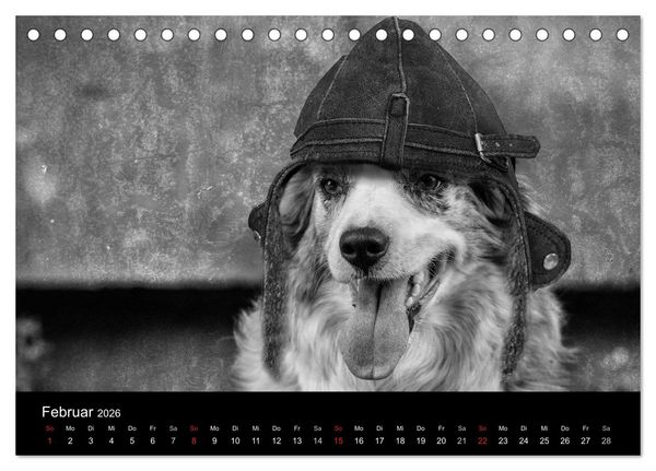 Produktbild: H&uuml;tehunde (Tischkalender 2026 DIN A5 quer), CALVENDO Monatskalender