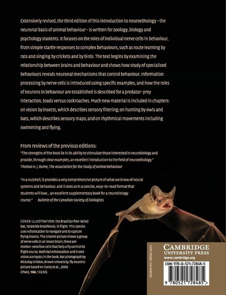Produktbild: Nerve Cells and Animal Behaviour