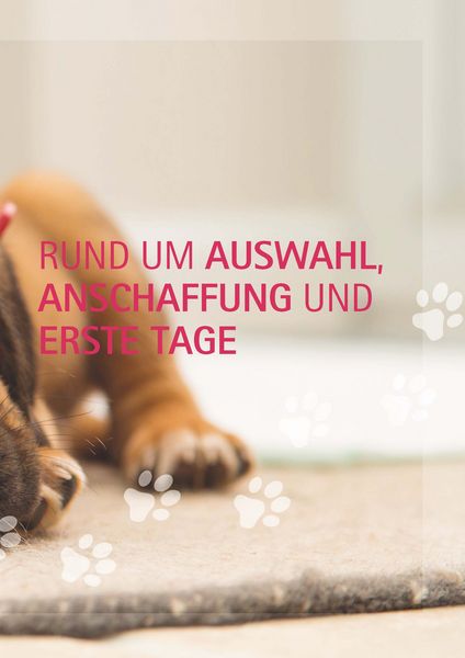 Produktbild: Ein Hund und 1000 Fragen