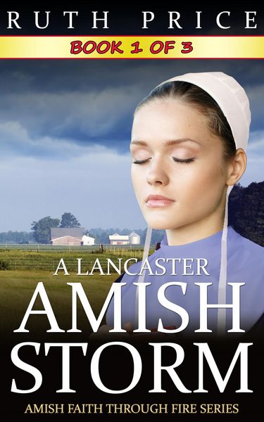 Produktbild: A Lancaster Amish Storm - Book 1