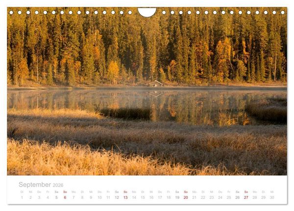 Produktbild: Heimat der Samen (Wandkalender 2026 DIN A4 quer), CALVENDO Monatskalender