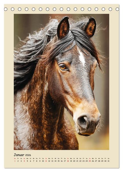 Produktbild: Amerikanische Mustangs. Symbole f&uuml;r Freiheit und Pioniergeis (Tischkalender 2026 DIN A5 hoch), CALVENDO Monatskalender