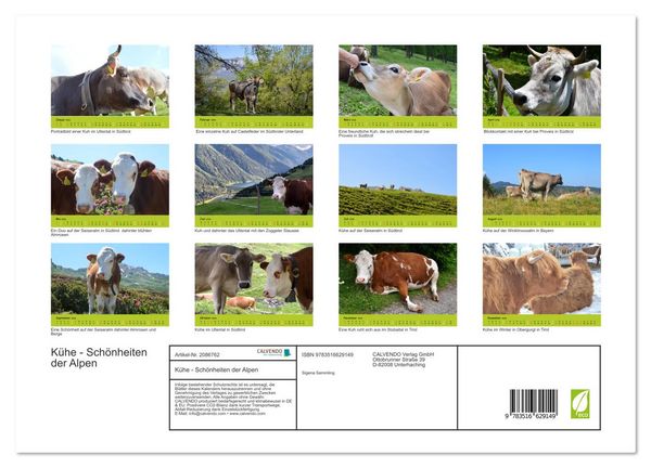 Produktbild: K&uuml;he - Sch&ouml;nheiten der Alpen (Wandkalender 2026 DIN A3 quer), CALVENDO Monatskalender