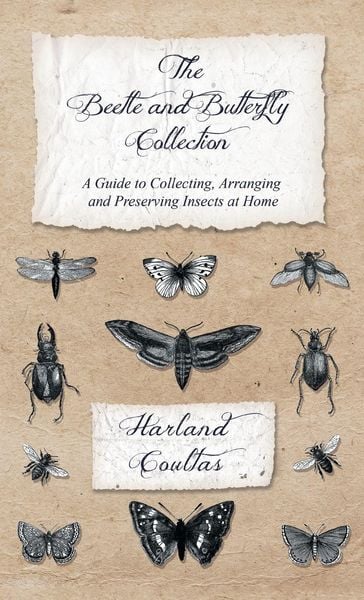 Produktbild: Beetle and Butterfly Collection - A Guide to Collecting, Arranging and Preserving Insects at Home