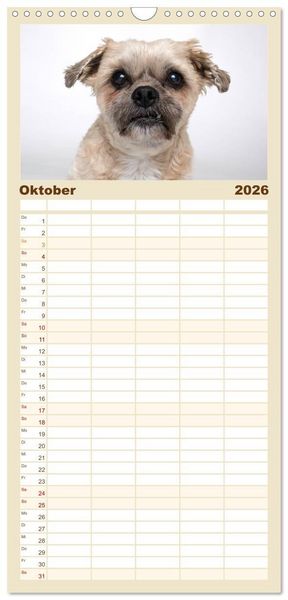 Produktbild: Familienplaner 2026 - Kleine Hunde - Gro&szlig;e Blicke mit 5 Spalten (Wandkalender, 21 x 45 cm) CALVENDO
