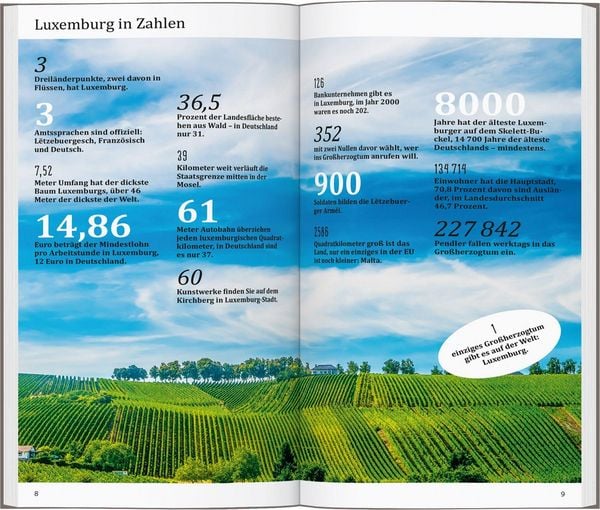 Produktbild: DUMONT direkt Reisef&uuml;hrer Luxemburg