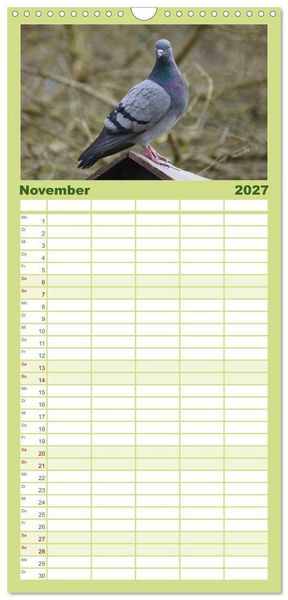 Produktbild: Familienplaner 2027 - Tauben in der Stadt mit 5 Spalten (Wandkalender, 21 x 45 cm) CALVENDO