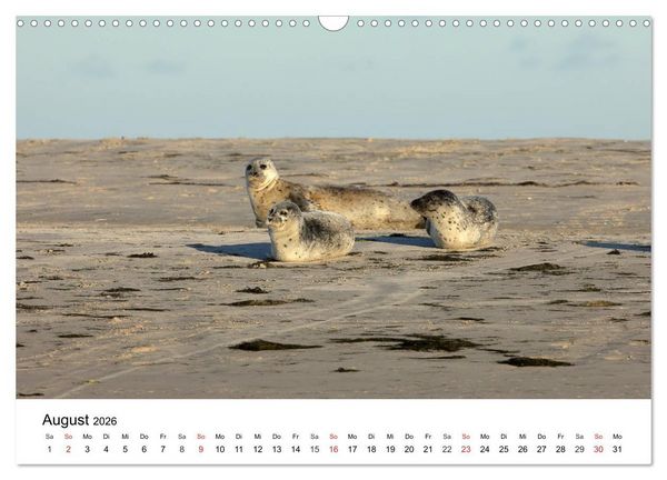 Produktbild: Wilde Tiere unserer Heimat (Wandkalender 2026 DIN A3 quer), CALVENDO Monatskalender