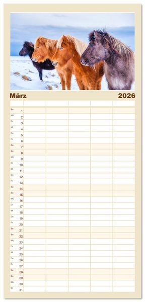 Produktbild: Familienplaner 2026 - Islandpferde - Die s&uuml;&szlig;en Pferde im Norden. mit 5 Spalten (Wandkalender, 21 x 45 cm) CALVENDO