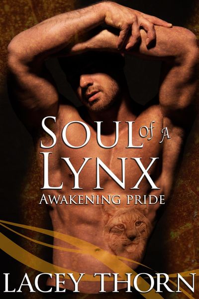 Produktbild: Soul of a Lynx (Awakening Pride, #12)