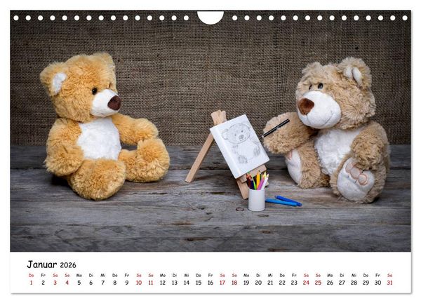 Produktbild: Eddy, der Teddy (Wandkalender 2026 DIN A4 quer), CALVENDO Monatskalender