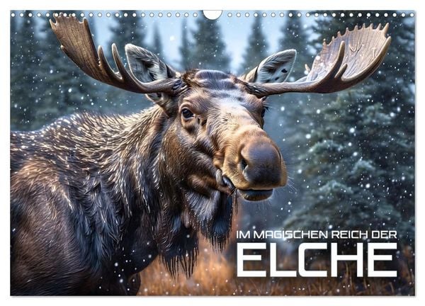 Im magischen Reich der Elche (Wandkalender 2026 DIN A3 quer), CALVENDO Monatskalender