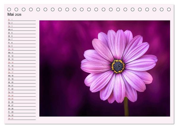 Produktbild: Lila - die mystische Farbe (Tischkalender 2026 DIN A5 quer), CALVENDO Monatskalender