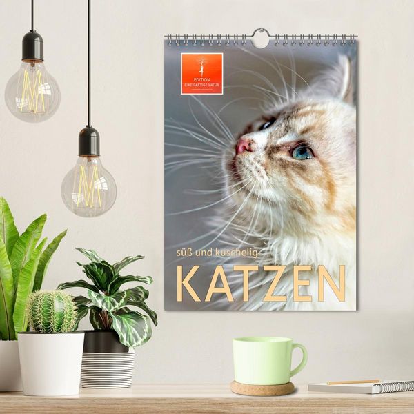 Produktbild: Katzen - s&uuml;&szlig; und kuschelig (Wandkalender 2026 DIN A4 hoch), CALVENDO Monatskalender