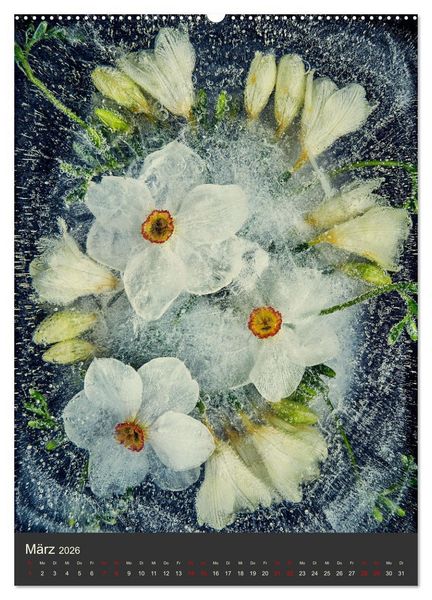 Produktbild: Magische Eisblumen (Wandkalender 2026 DIN A2 hoch), CALVENDO Monatskalender