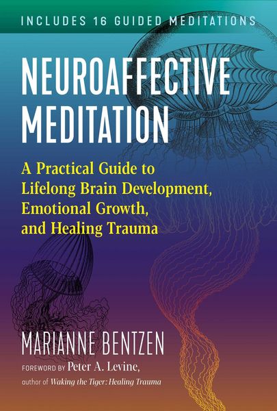 Produktbild: Neuroaffective Meditation
