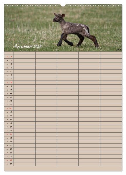 Produktbild: Der bel&auml;mmerte Familienplaner (Wandkalender 2026 DIN A2 hoch), CALVENDO Monatskalender